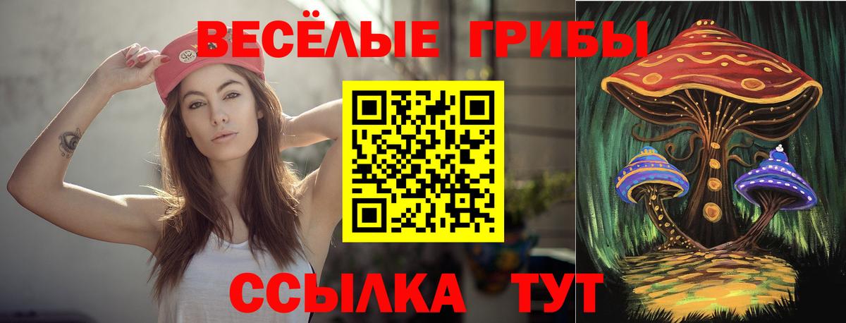 Галлюциногенные грибы Cubensis  Вход с VPN  Ликино-Дулёво 
